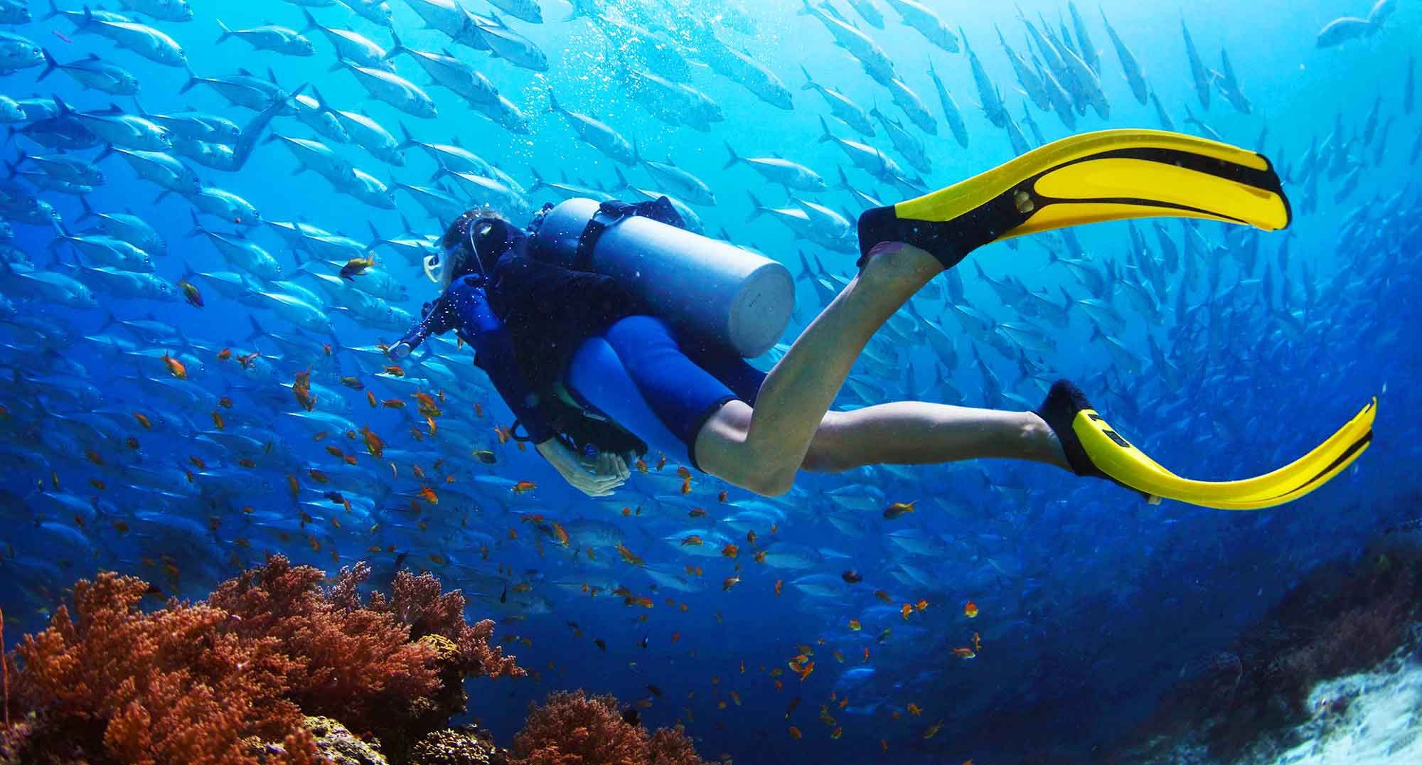 Best spots for scuba diving in Thailand